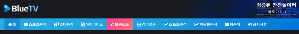 블루티비 다양한 기능